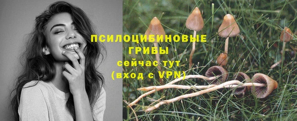 круглые Арсеньев