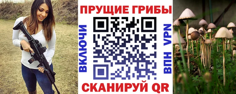 Галлюциногенные грибы мухоморы  сайты даркнета официальный сайт  Нововоронеж 